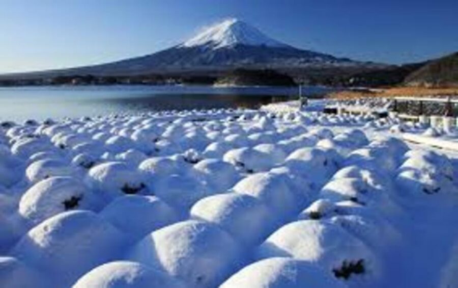 Mount Fuji and Hakone Day tour with English speaking Drivers - From Tokyo to Fuji viewpoints: Arakurayama, shrines, and quick walking breaks