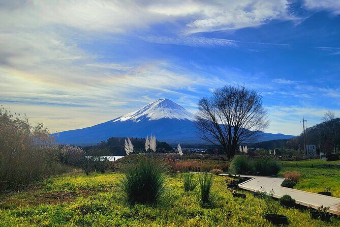 Mount fuji and Hakone Full day private sightseeing tour - Oshino Hakkai: eight ponds, koi, and Fuji views without hype