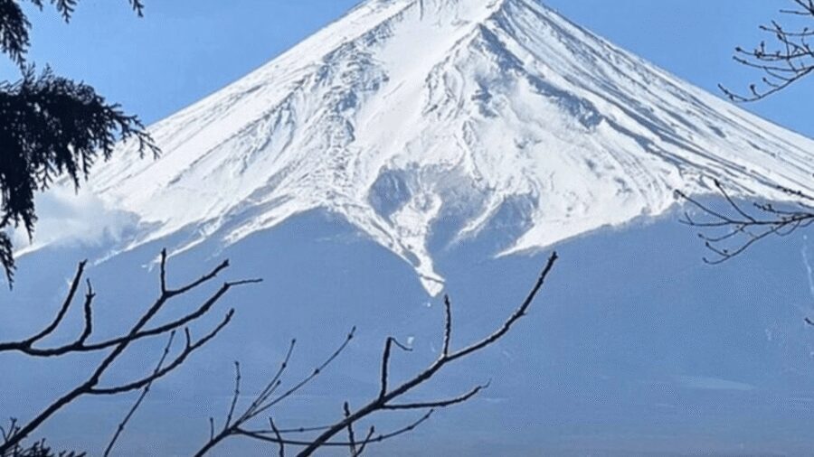 Mount fuji and Hakone full day private tour with English gui - Chureito Pagoda and Arakura Fuji Sengen Shrine: Fuji Framed Like a Postcard
