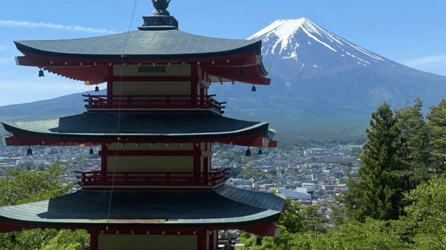 Mount fuji and Hakone full day private tour with English gui - Lake Kawaguchiko and Oishi Park: Easy Walking with Big View Payoffs