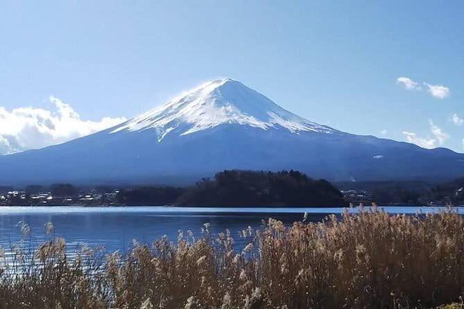 Mount Fuji and Hakone Private Day Trip by Car/Van - in English - The real value: a driver-guide who helps you turn a long day into a good one