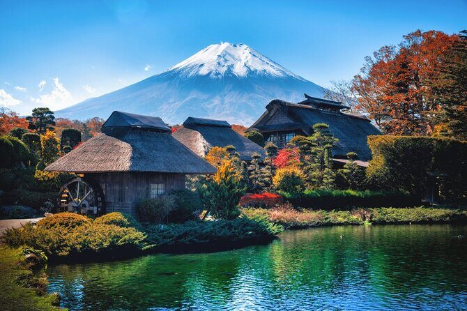 Mount Fuji and Hakone Private day trip from Tokyo - Private pickup from Tokyo: comfort, timing, and control