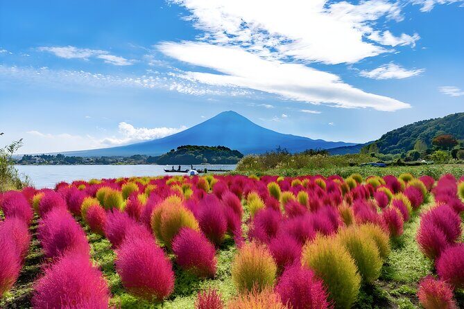 Mount Fuji and Hakone Private day trip from Tokyo - Lake Kawaguchiko: your Fuji gateway with room to breathe
