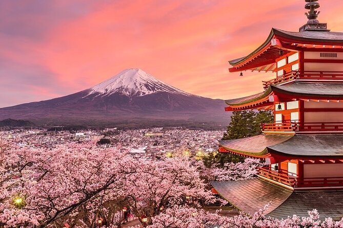 Mount Fuji and Hakone Private Tour by Car with Pickup from Tokyo - Private car from Tokyo: why the comfort is the real deal