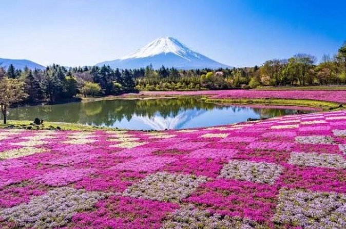 Mount Fuji and Hakone Private Tour by Car with Pickup from Tokyo - Hakone Open-Air Museum: modern art with room to breathe