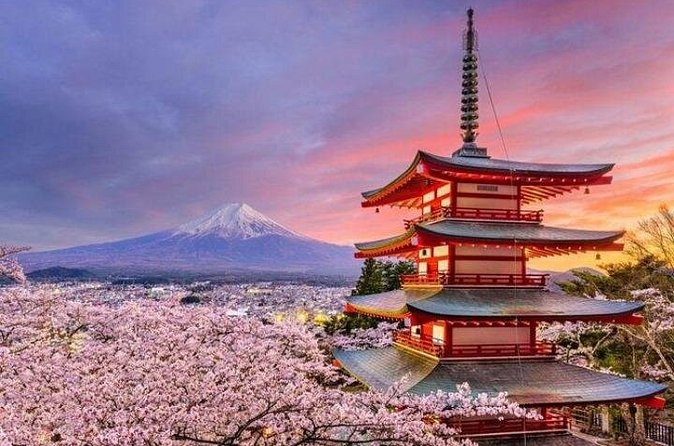 Mount Fuji and Hakone Private Tour by Car with Pickup from Tokyo - Gora Park: the French-style garden that slows the day down