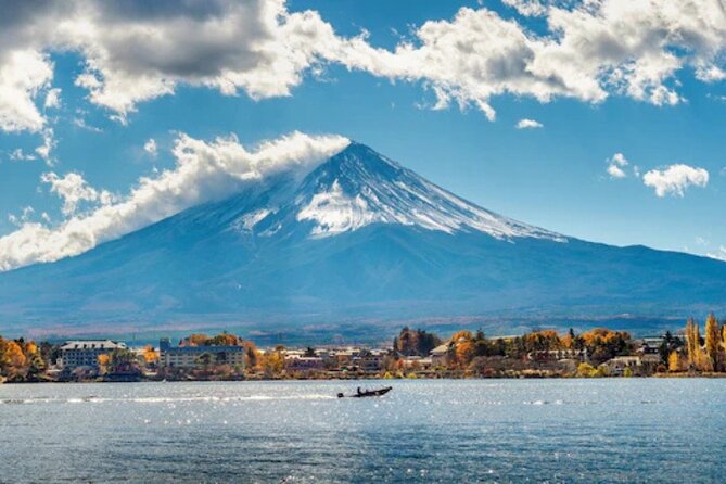 Mount Fuji and Hakone Private Tour by Car with Pickup from Tokyo - Gotemba Premium Outlets: shopping with a Fuji view gamble