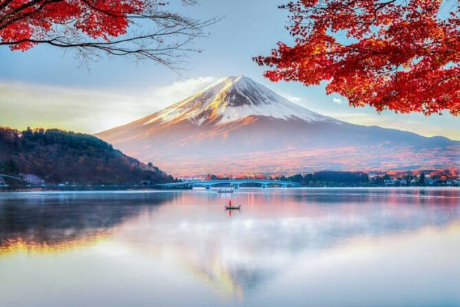 Mount Fuji and Hakone Private Tour by Car with Pickup from Tokyo - Hakone Ropeway and Owakudani: the volcanic wow stop