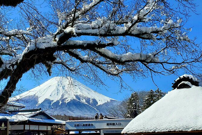 Mount Fuji and Hakone Private Tour from Tokyo (Customizable) - Key takeaways before you go
