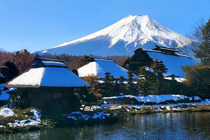 Mount Fuji and Hakone Private Tour from Tokyo (Customizable) - Price and value: when $448 makes sense