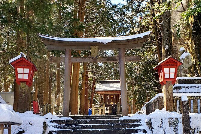 Mount Fuji and Hakone Private Tour from Tokyo (Customizable) - Stop 3: Oshino Hakkai springs for clear water and village scenes