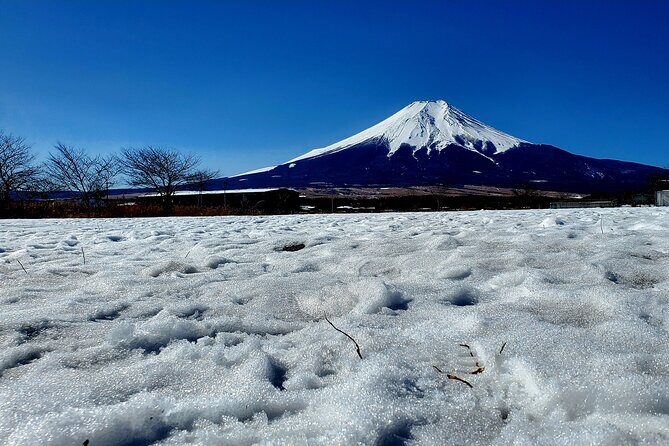 Mount Fuji and Hakone Private Tour from Tokyo (Customizable) - Stop 5: Owakudani Valley for geothermal drama