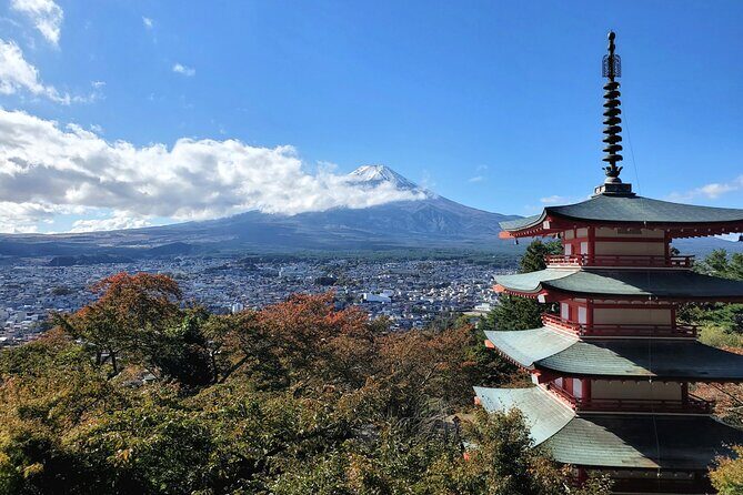 Mount Fuji and Hakone Private Tour from Tokyo (Customizable) - Pickup, timing, and why early minutes matter
