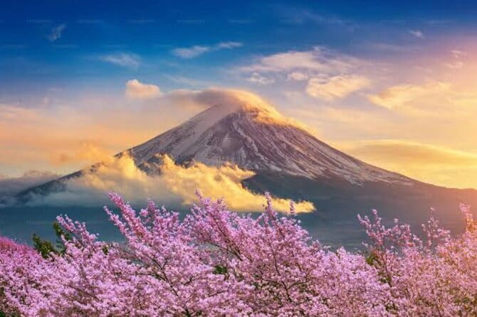 Mount Fuji and Hakone Private Tour with Pickup from Tokyo - Oshino Hakkai: clear spring ponds and quiet contrast