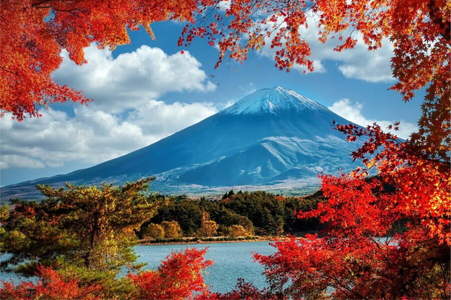 Mount Fuji and Hakone Tour with Personal Driver & Transport - Private van value: what you’re really paying for