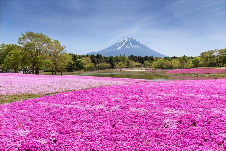 Mount Fuji and Hakone Tour with Personal Driver & Transport - Arakura Fuji Sengen Shrine: the iconic shrine viewpoint