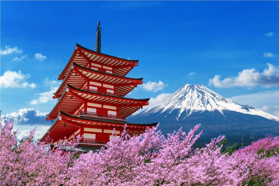 Mount Fuji and Hakone Tour with Personal Driver & Transport - Starting smart: pickup options that keep the day from slipping
