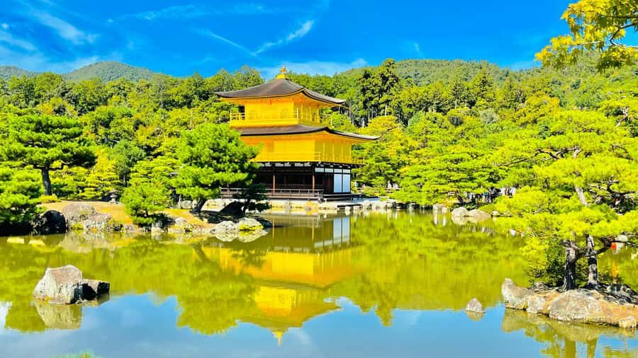 Mount Fuji Customize Private Tour with English Driver - Private Control: How the Day Stays Flexible