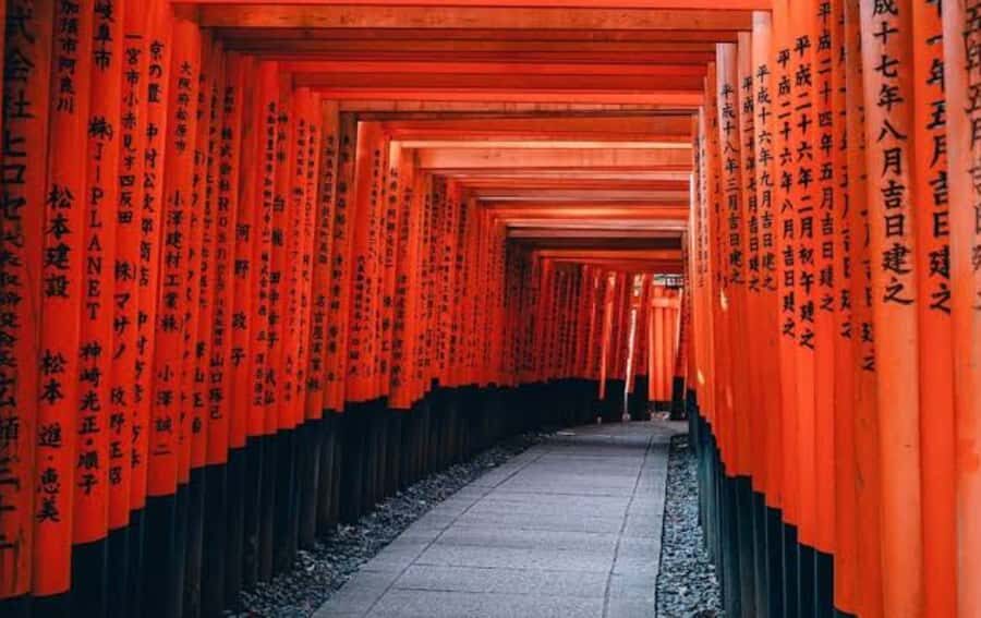 Mount Fuji Customize Private Tour with English Driver - Shinto at the Base: A Cultural Stop That Breaks Up the Views