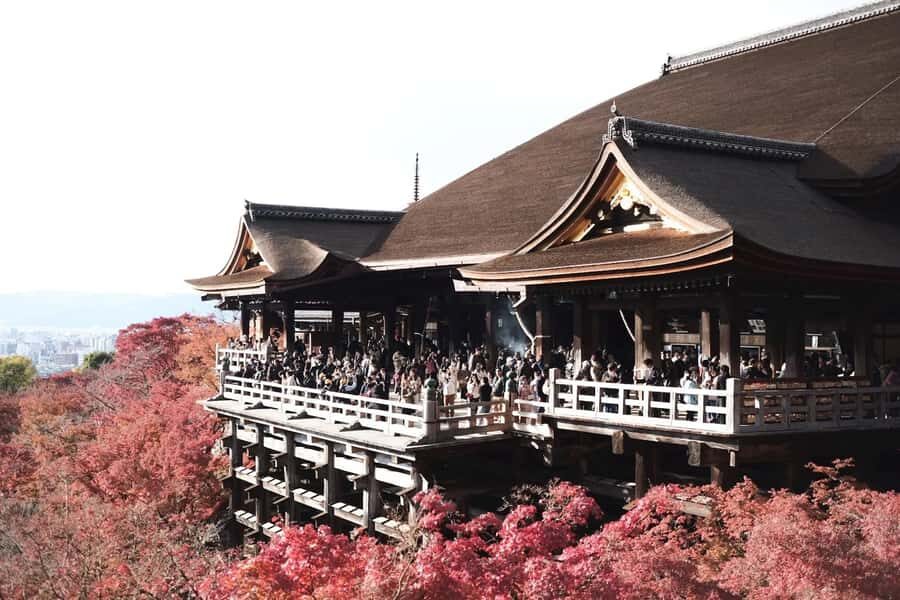 Mount Fuji Customize Private Tour with English Driver - Hakone Without the Full Hakone Detour: Lake Ashi Highlights