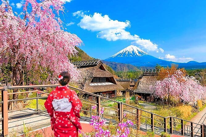 Mount Fuji Day Tour:Lake Kawaguchi, HealingVillage,Oshino Hakkai - Key things to know before you go