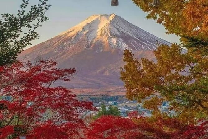 Mount Fuji Day Tour:Lake Kawaguchi, HealingVillage,Oshino Hakkai - Stop 1: Arakurayama Sengen Park for a strong start