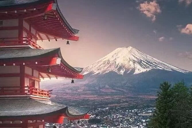 Mount Fuji Day Tour:Lake Kawaguchi, HealingVillage,Oshino Hakkai - Stop 3: Oishi Park for seasonal color against Fuji views