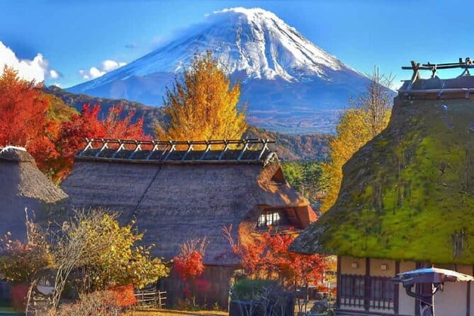 Mount Fuji Day Tour:Lake Kawaguchi, HealingVillage,Oshino Hakkai - Stop 2: Oshino Hakkai and its eight ponds of Fuji snowmelt