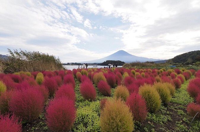 Mount Fuji Full Day Customized Private Tour with English Guide - Narusawa Ice Cave: why this stop often surprises people