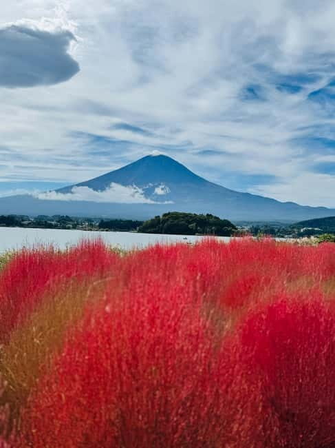 Mount Fuji Full-Day Private Customizable Tour From Tokyo - Hakone Ropeway and the volcanic feel