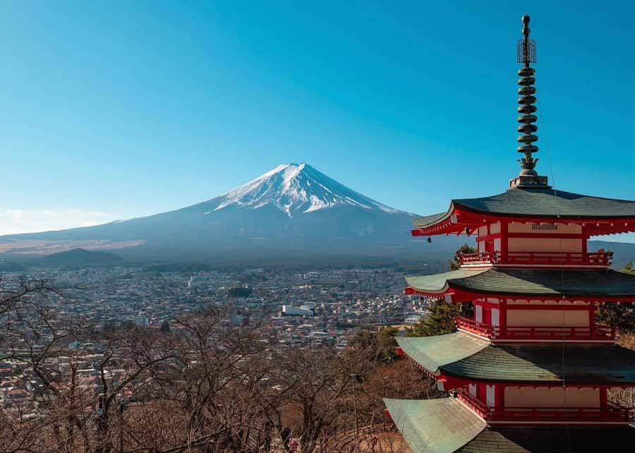 Mount Fuji Full-Day Private Sightseeing Tour with Guide - Private Mount Fuji Tour From Tokyo: why “your group only” matters