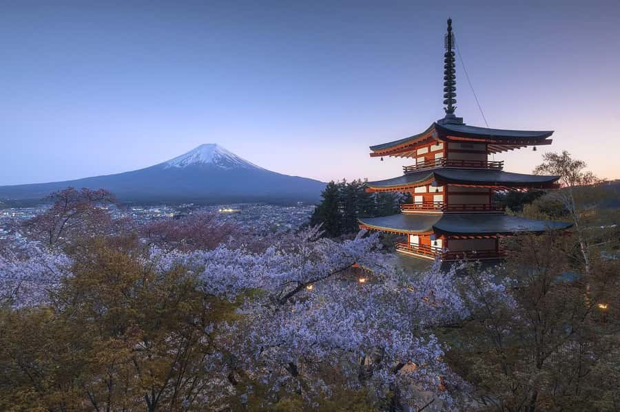 Mount Fuji Full-Day Private Sightseeing Tour with Guide - Price and value: what $403 per group gets you (and what to budget)