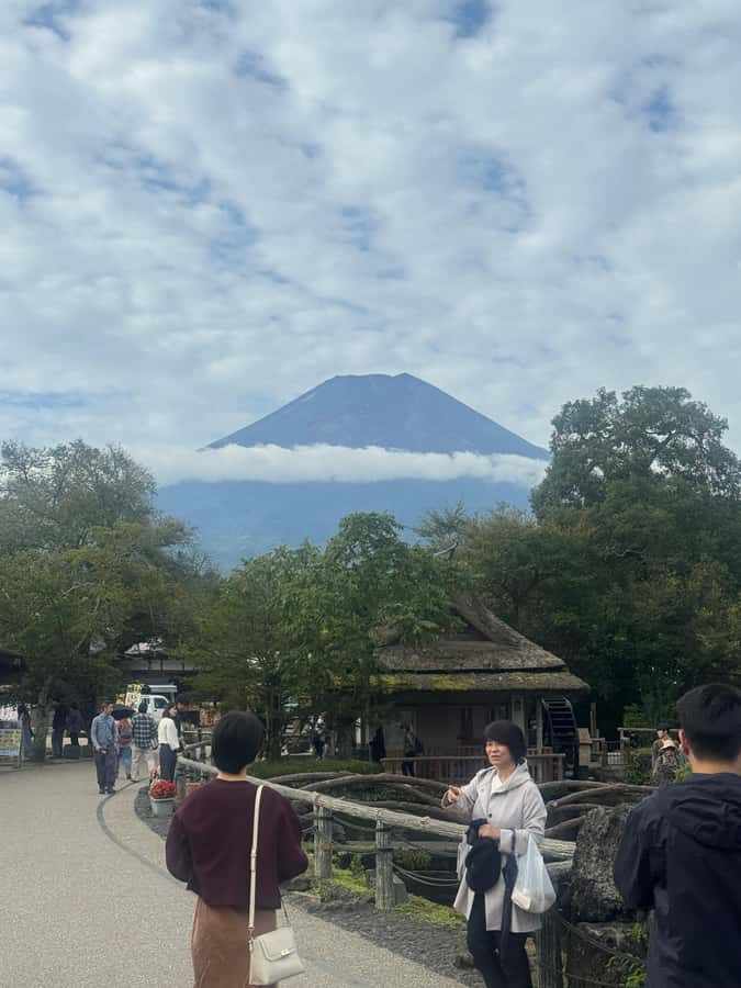 Mount Fuji Full-Day Private Sightseeing Tour with Guide - Tokyo pickup zones and extra charges outside the 23 wards