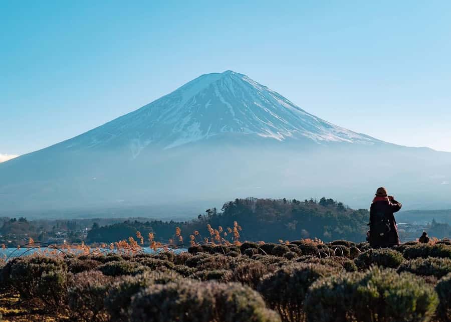 Mount Fuji Full-Day Private Sightseeing Tour with Guide - An English-speaking guide who adjusts when the sky changes