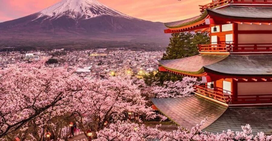 Mount Fuji Full-Day Private Tour from Tokyo (Customizable) - Quick reasons this Fuji private tour works well