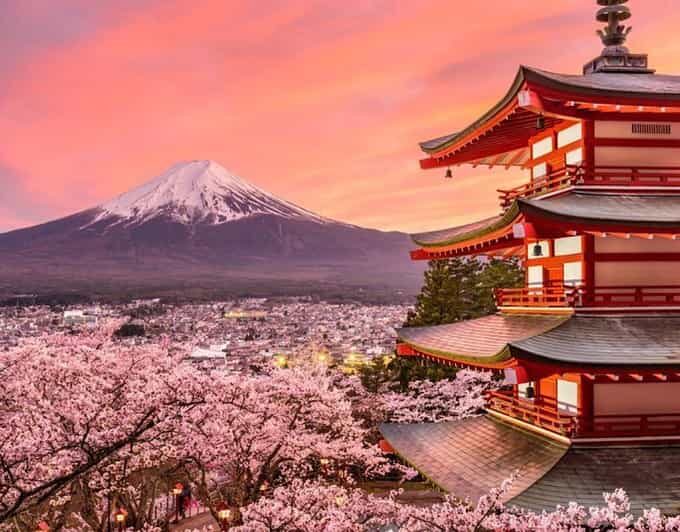 Mount Fuji Full-Day Private Tour from Tokyo (Customizable) - What $410 covers and how entrance fees actually work