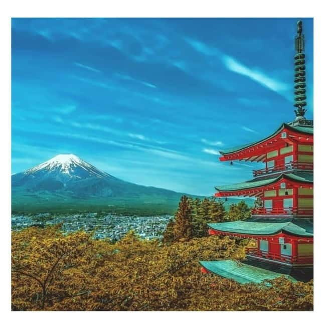 Mount Fuji Full Day Private Tour from Tokyo Full Customized - Quick hits before you go