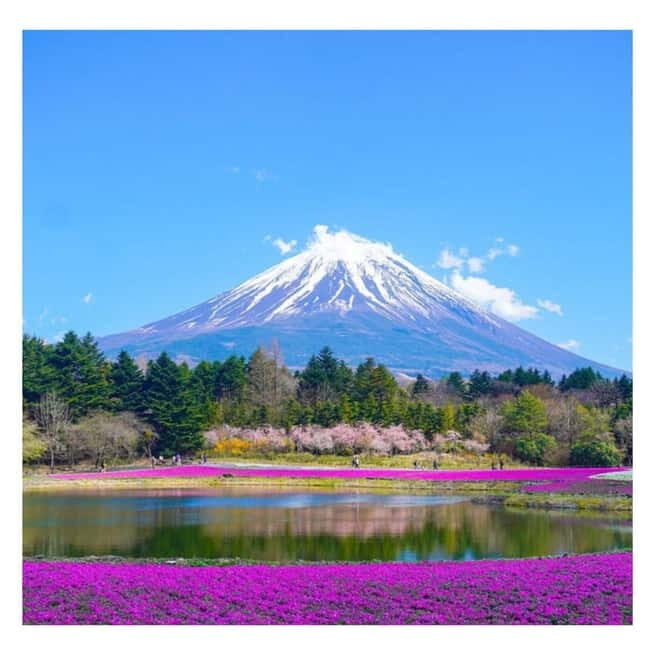 Mount Fuji Full Day Private Tour from Tokyo Full Customized - Lake Kawaguchi: water options and view time that actually lets you choose