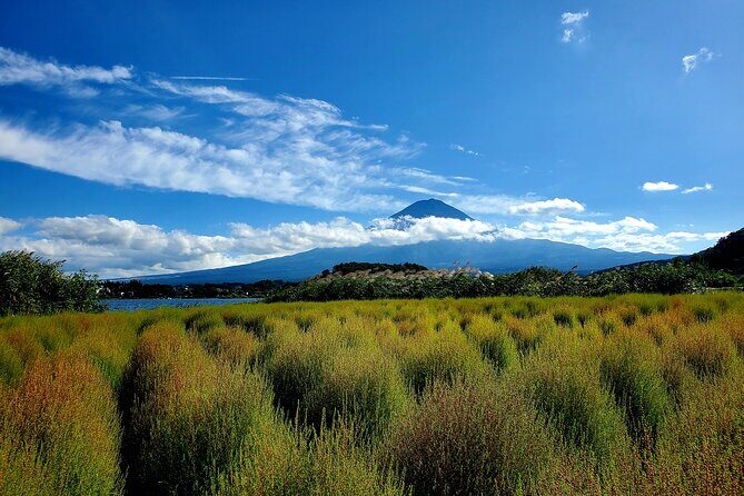 Mount Fuji Full-Day Private Tour from Yokohama Customizable - Chureito Pagoda: the iconic Fuji photo stop, with real limits