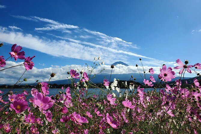 Mount Fuji Full-Day Private Tour from Yokohama Customizable - Lake Kawaguchiko: where you decide how you want to spend your time
