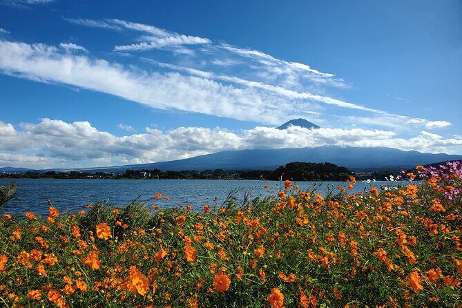 Mount Fuji Full-Day Private Tour from Yokohama Customizable - Oishi Park: seasonal flowers and a simple ice cream win