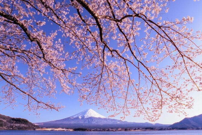 Mount Fuji Full Day Tour form Tokyo Lake Kawaguchi & Yamanaka - Meeting in Marunouchi: starting the day without stress