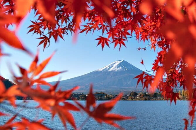 Mount Fuji Full Day Tour form Tokyo Lake Kawaguchi & Yamanaka - Fujiyoshida retro shopping street and the Lawson Fuji photo spot