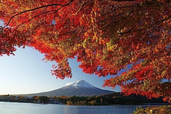Mount Fuji Full Day Tour form Tokyo Lake Kawaguchi & Yamanaka - Price and value: is $60.90 a smart deal?