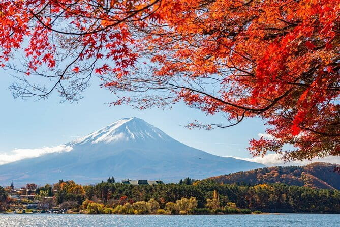 Mount Fuji Full Day Tour form Tokyo Lake Kawaguchi & Yamanaka - Oshino Hakkai: the eight clear springs that taste like pure logic