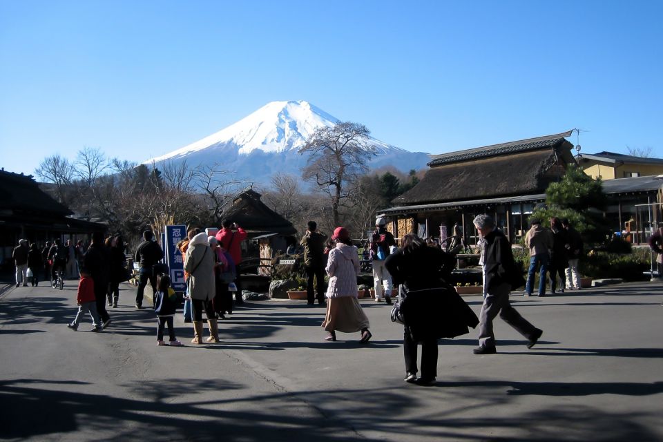 Mount Fuji: Full-Day Tour with Private Van - What This Private Van Day Trip Gets You (Tokyo to Fuji and Hakone)