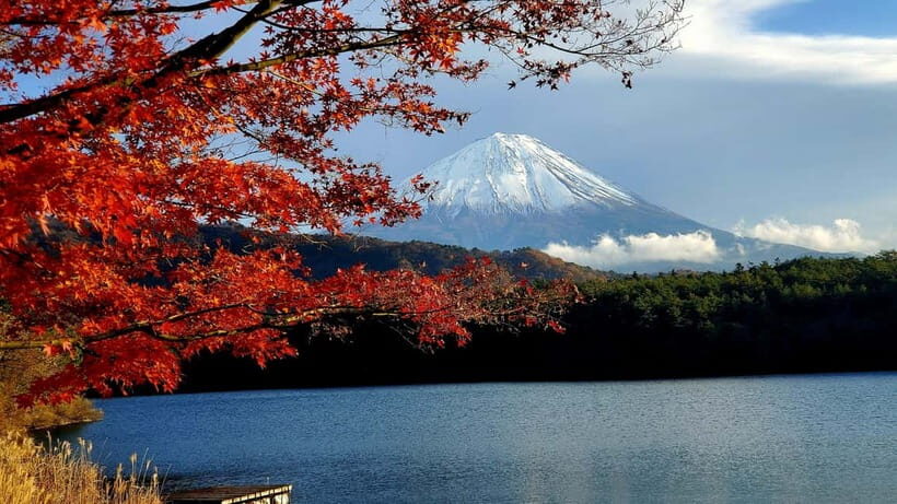 Mount Fuji & Hakone Full-Day Private Tour (Customizable) - Key highlights you’ll feel right away