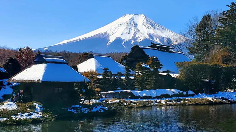 Mount Fuji & Hakone Full-Day Private Tour (Customizable) - Shopping time and Gotemba Premium Outlets options