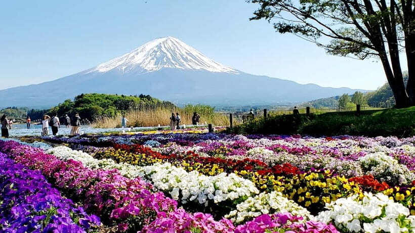 Mount Fuji & Hakone Full-Day Private Tour (Customizable) - Chureito Pagoda: the quick photo stop that still feels meaningful