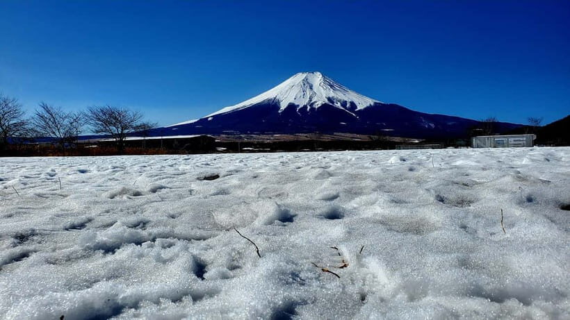Mount Fuji & Hakone Full-Day Private Tour (Customizable) - Kitaguchi-hongu Fuji Sengen Shrine: culture you can feel in 45 minutes